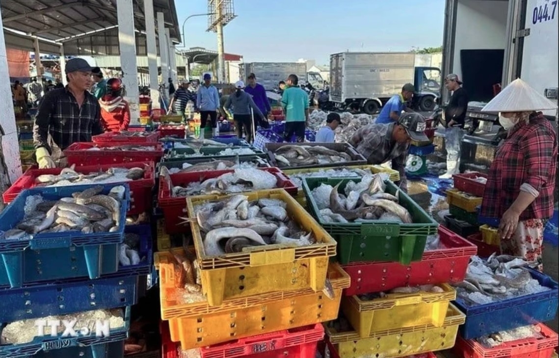 Aquatic product exports maintain growth momentum despite impacts from US tariffs
